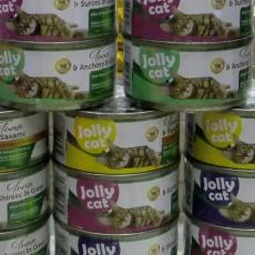 Jolly_tuna_01