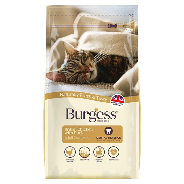 Burgess ch