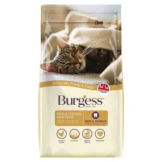Burgess ch