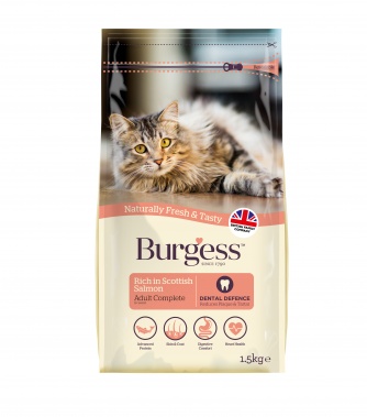 Burgess_salmon