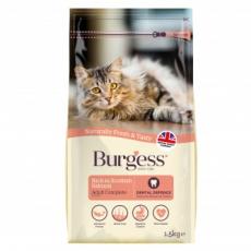 Burgess_salmon