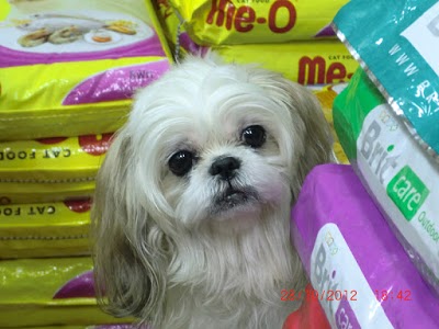 Sweetie_2012
