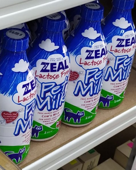Zeal