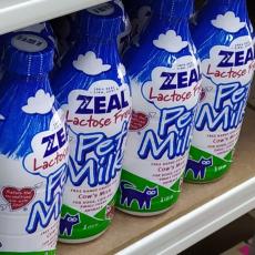 Zeal