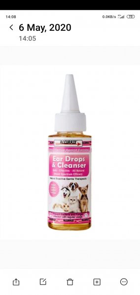 Ilium_ear_cleaner