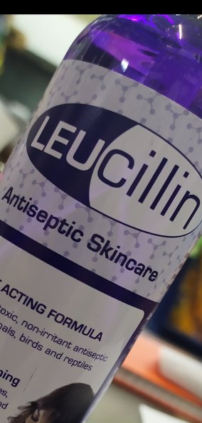 Leucillin