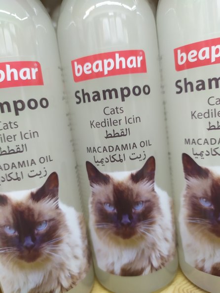 beaphar_shampoo_cat