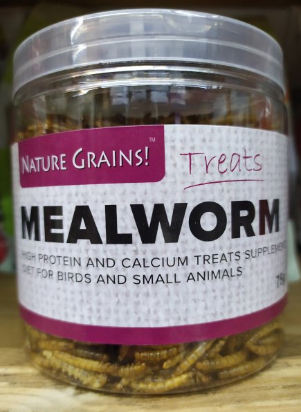 Mealworm