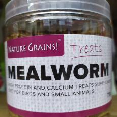 Mealworm