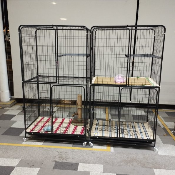 cat cage H170