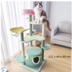 Cat_play_001