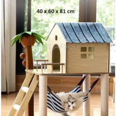 cat_play06_1